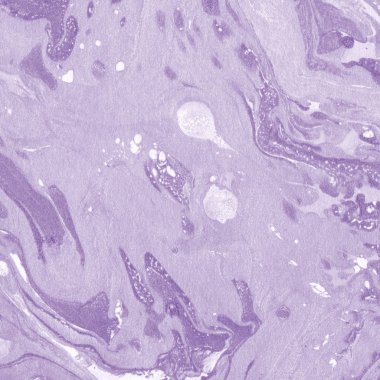 Soyut renkli mermer desenli yüzey