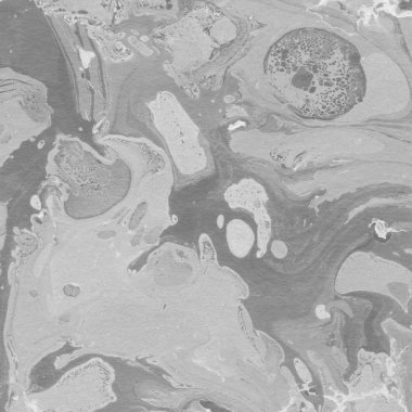 Arkaplan olarak yaratıcı yeşil mermer yüzey  