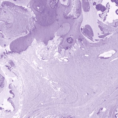 Soyut renkli mermer desenli yüzey