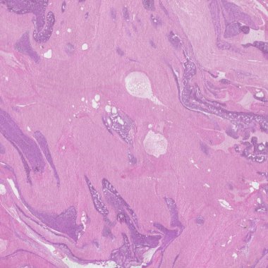 Arkaplan olarak yaratıcı yeşil mermer yüzey  