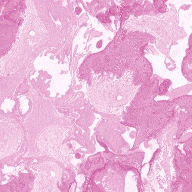 Yaratıcı renk mermer yüzey arkaplanı  