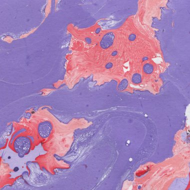 Yaratıcı renk mermer yüzey arkaplanı  