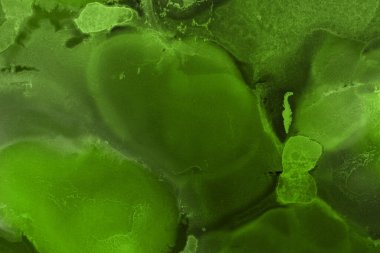 canlı yeşil mürekkep, dijital duvar kağıdı