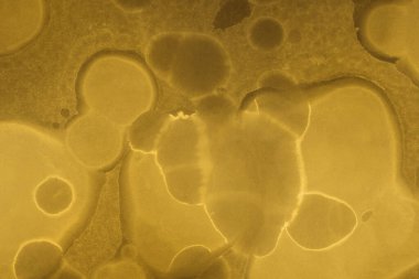 sarı sıvı mürekkep, dijital duvar kağıdı