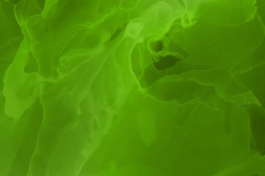 canlı yeşil mürekkep, dijital duvar kağıdı