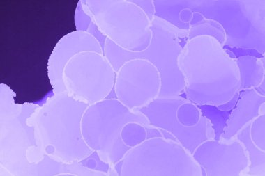 mor sıvı mürekkep, dijital duvar kağıdı