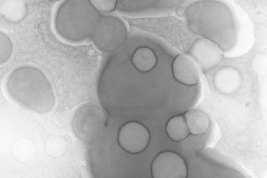 gri sıvı mürekkep, dijital duvar kağıdı