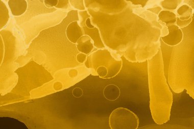 sarı sıvı mürekkep, dijital duvar kağıdı