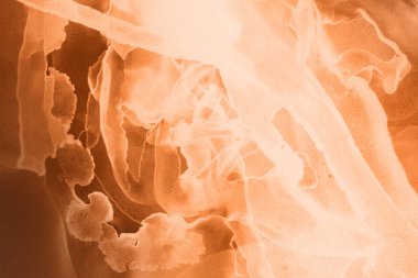 turuncu sıvı mürekkep, dijital duvar kağıdı