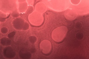 kırmızı sıvı mürekkep, dijital duvar kağıdı