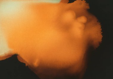 canlı sıvı mürekkep, dijital duvar kağıdı