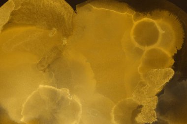 sarı sıvı mürekkep, dijital duvar kağıdı