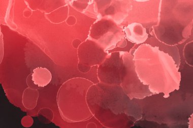 kırmızı sıvı mürekkep, dijital duvar kağıdı