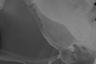 siyah sıvı mürekkep, dijital duvar kağıdı