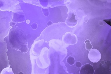 mor sıvı mürekkep, dijital duvar kağıdı