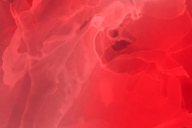 kırmızı sıvı mürekkep, dijital duvar kağıdı