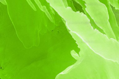 canlı yeşil mürekkep, dijital duvar kağıdı