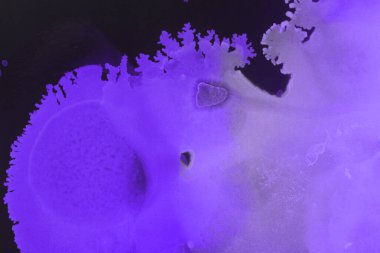 mor sıvı mürekkep, dijital duvar kağıdı