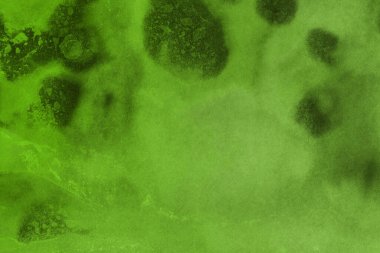 canlı yeşil mürekkep, dijital duvar kağıdı