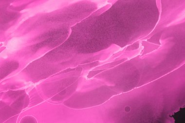 pembe sıvı mürekkep, dijital duvar kağıdı