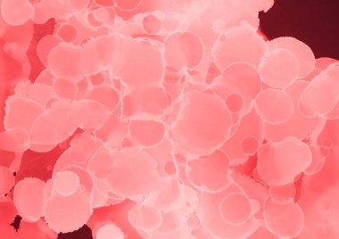 kırmızı sıvı mürekkep, dijital duvar kağıdı