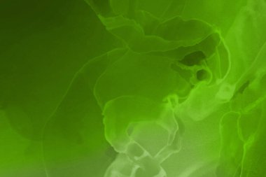 canlı yeşil mürekkep, dijital duvar kağıdı