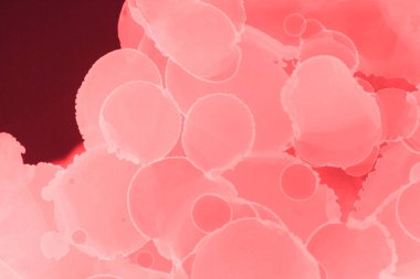 kırmızı sıvı mürekkep, dijital duvar kağıdı