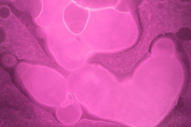 pembe sıvı mürekkep, dijital duvar kağıdı