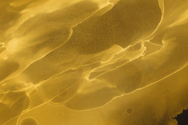 sarı sıvı mürekkep, dijital duvar kağıdı