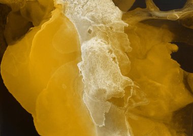 sarı sıvı mürekkep, dijital duvar kağıdı