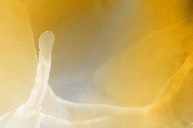 sarı sıvı mürekkep, dijital duvar kağıdı