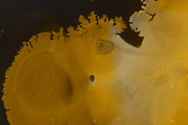 sarı sıvı mürekkep, dijital duvar kağıdı