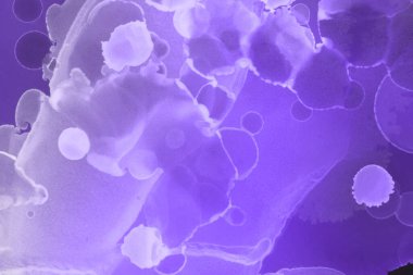 mor sıvı mürekkep, dijital duvar kağıdı