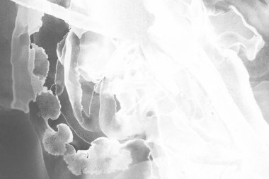 gri sıvı mürekkep, dijital duvar kağıdı