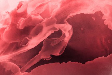 kırmızı sıvı mürekkep, dijital duvar kağıdı