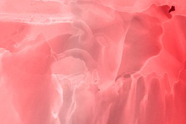 kırmızı sıvı mürekkep, dijital duvar kağıdı