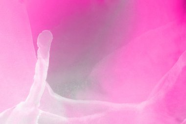 pembe sıvı mürekkep, dijital duvar kağıdı