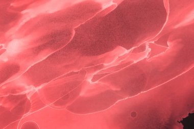 kırmızı sıvı mürekkep, dijital duvar kağıdı