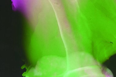 canlı sıvı mürekkep, dijital duvar kağıdı