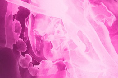 pembe sıvı mürekkep, dijital duvar kağıdı