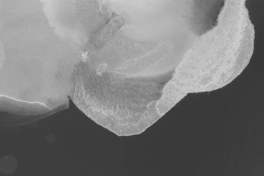 gri sıvı mürekkep, dijital duvar kağıdı