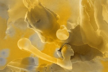 sarı sıvı mürekkep, dijital duvar kağıdı