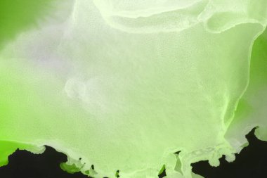 canlı yeşil mürekkep, dijital duvar kağıdı