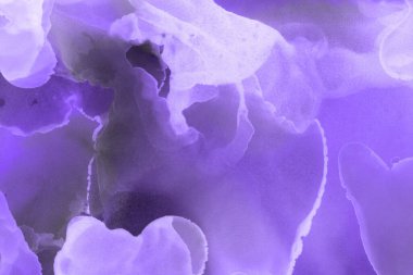 mor sıvı mürekkep, dijital duvar kağıdı