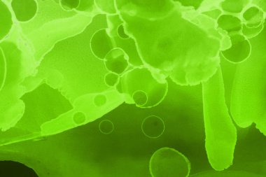 canlı yeşil mürekkep, dijital duvar kağıdı