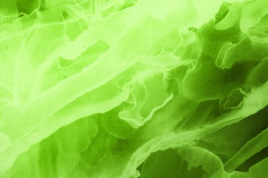 canlı yeşil mürekkep, dijital duvar kağıdı