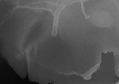 siyah sıvı mürekkep, dijital duvar kağıdı