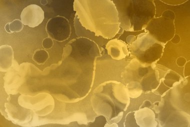 sarı sıvı mürekkep, dijital duvar kağıdı