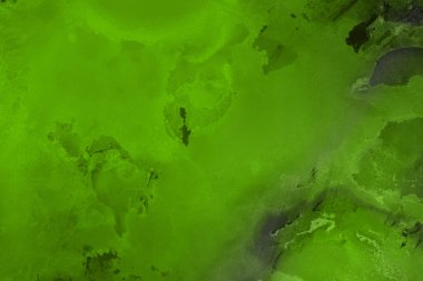 canlı yeşil mürekkep, dijital duvar kağıdı