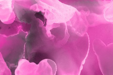 pembe sıvı mürekkep, dijital duvar kağıdı